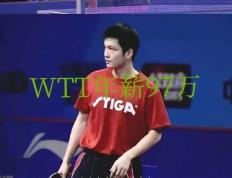 PG Soft Gaming-德国队完胜波兰队，樊振东扛起全队